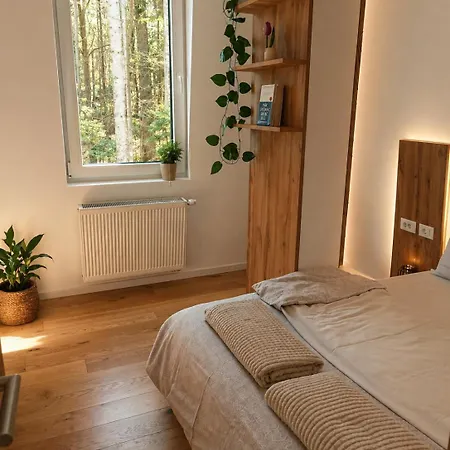 Oaza Apartment